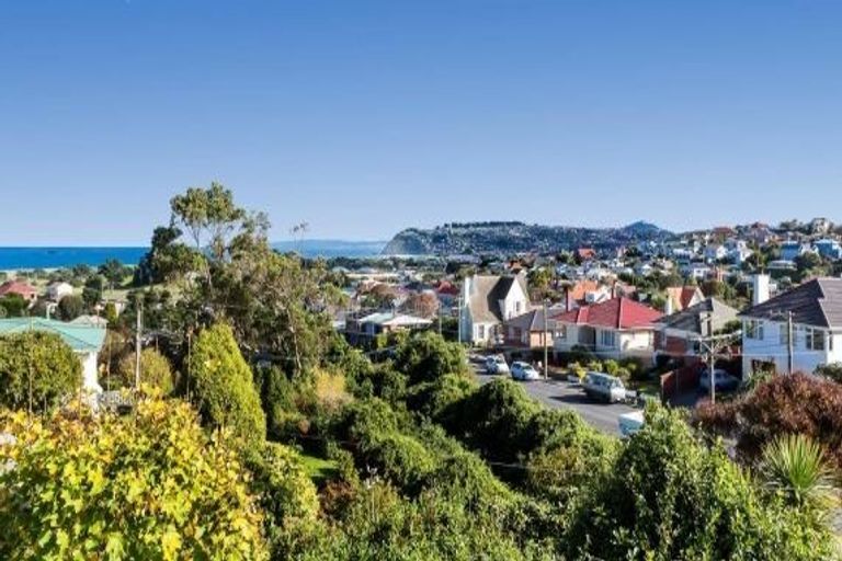 Photo of property in 28 Chisholm Place, Tainui, Dunedin, 9013