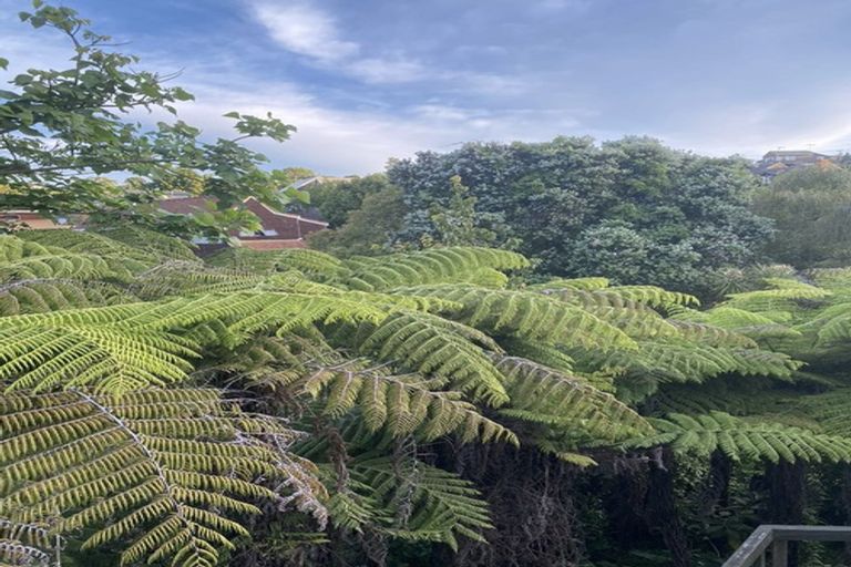 Photo of property in 65 Hebron Road, Waiake, Auckland, 0630