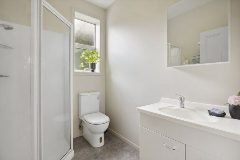 Photo of property in 41 Littlebourne Road, Roslyn, Dunedin, 9010