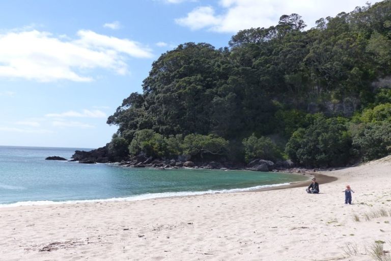 Photo of property in 119 Bambury Place, Onemana, Whangamata, 3691