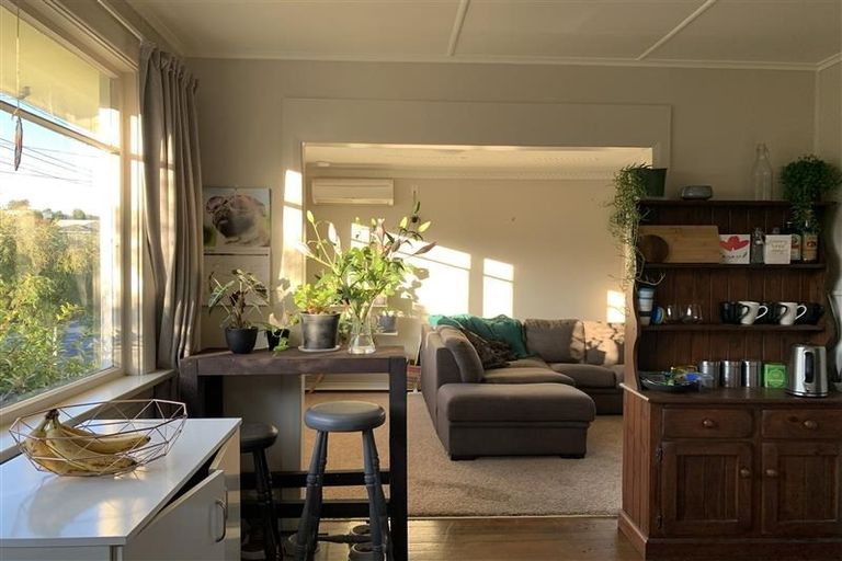 Photo of property in 224 Balmacewen Road, Wakari, Dunedin, 9010