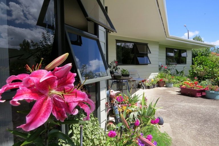 Photo of property in 3 Allman Drive, Coromandel, 3506