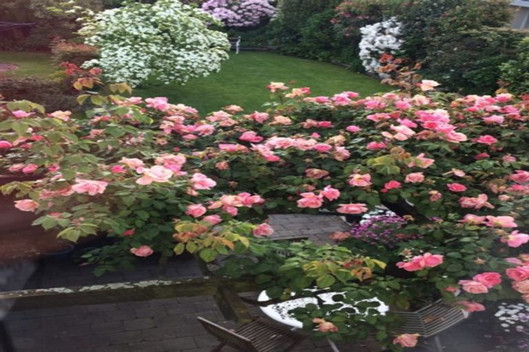 Photo of property in 184 Le Cren Street, Seaview, Timaru, 7910