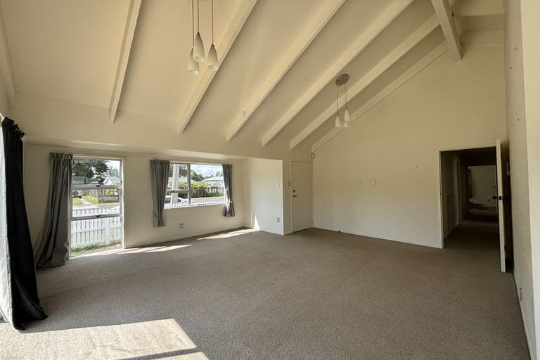 Photo of property in 132 Arapuni Street, Putaruru, 3411