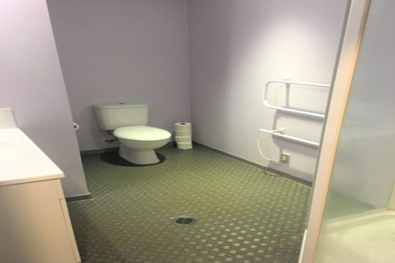 Photo of property in 87a Albert Street, Hamilton East, Hamilton, 3216