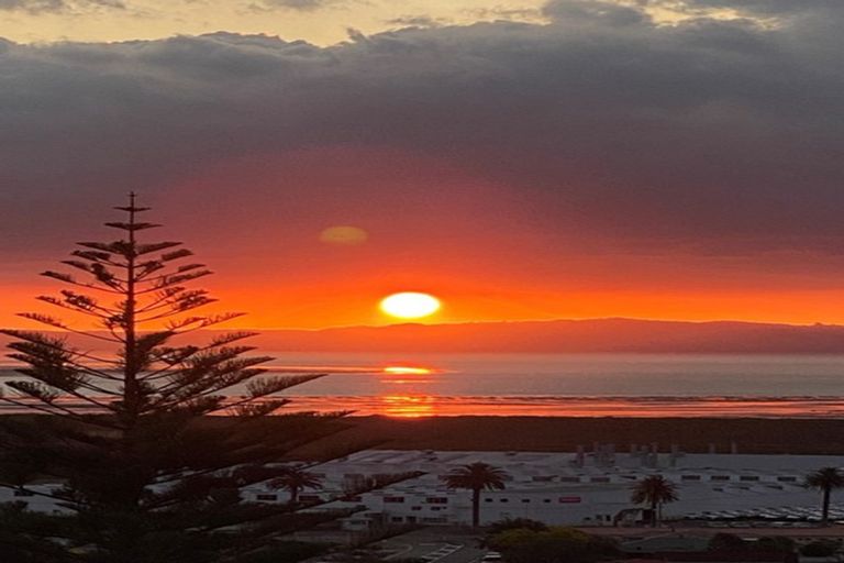 Photo of property in 133 Brunton Crescent, Thames, 3500