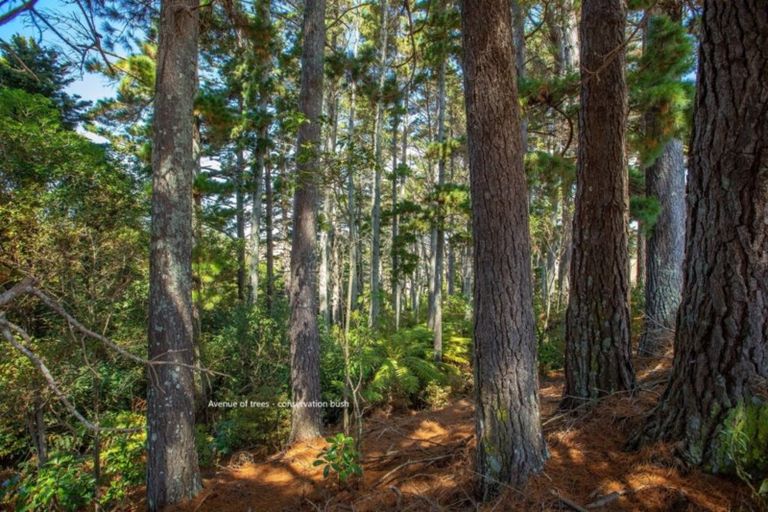 Photo of property in 249 Matakana Valley Road, Matakana, Warkworth, 0985