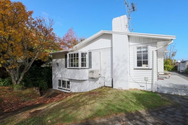 Photo of property in 253 Hukanui Road, Chartwell, Hamilton, 3210