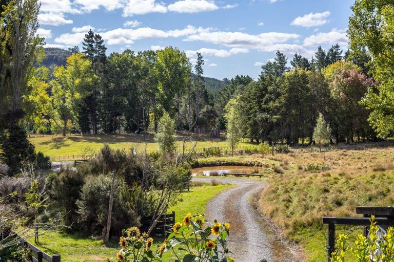 Photo of property in 2249e Te Wharau Road, Te Wharau, Masterton, 5883