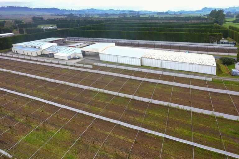 Photo of property in 11 Trig Road, Waihi, 3681