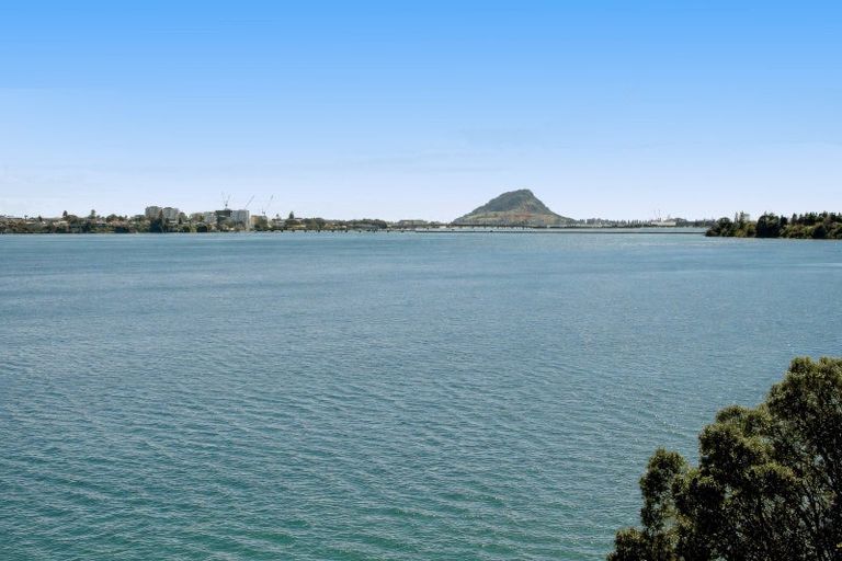Photo of property in 330 Maungatapu Road, Maungatapu, Tauranga, 3112