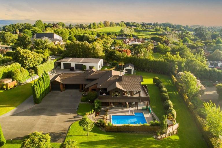 Photo of property in 37a Moffat Road, Bethlehem, Tauranga, 3110