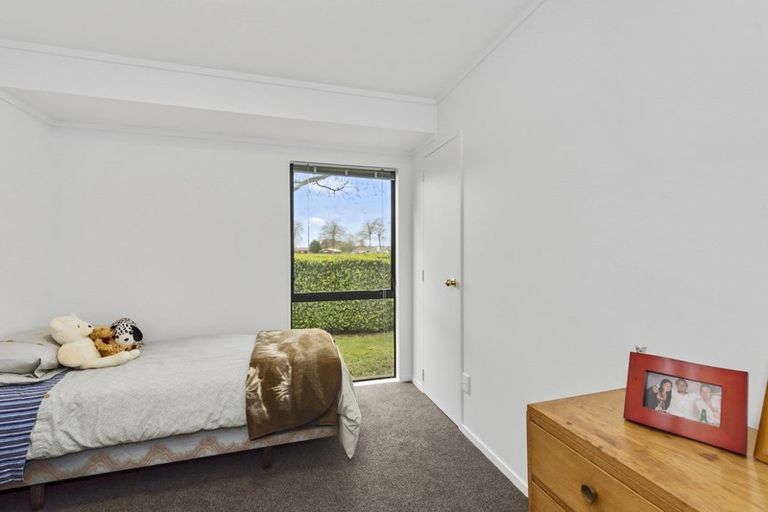 Photo of property in 25 Commodore Avenue, Flagstaff, Hamilton, 3210