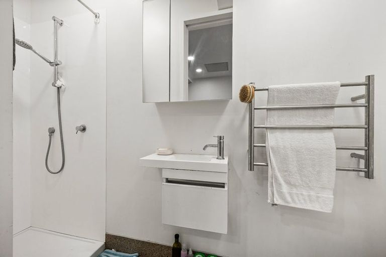 Photo of property in Aniva Terrace, 13 Arney Street, Newtown, Wellington, 6021