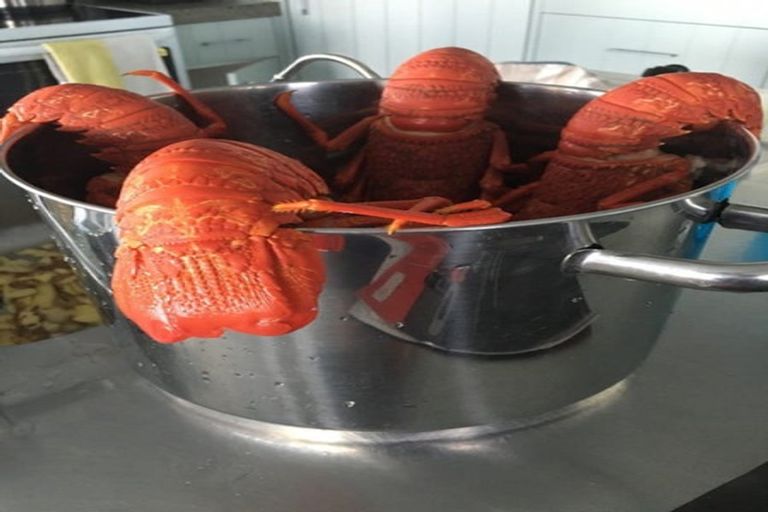 Photo of property in 149 Te Awaiti Road, Tora, Martinborough, 5782