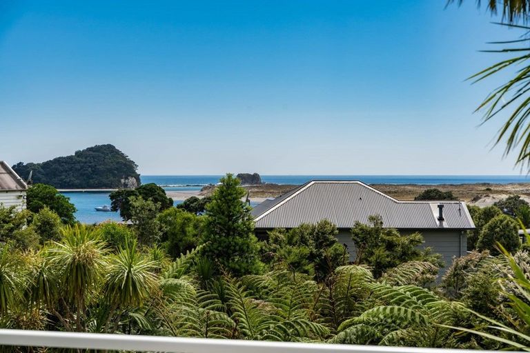 Photo of property in 15 Mangawhai Heads Road, Mangawhai Heads, Mangawhai, 0505