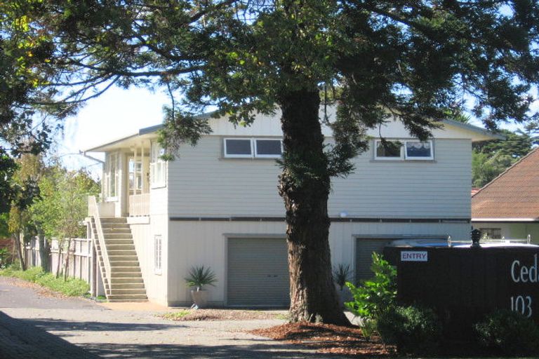 Photo of property in 7/103 Swanson Road, Henderson, Auckland, 0610