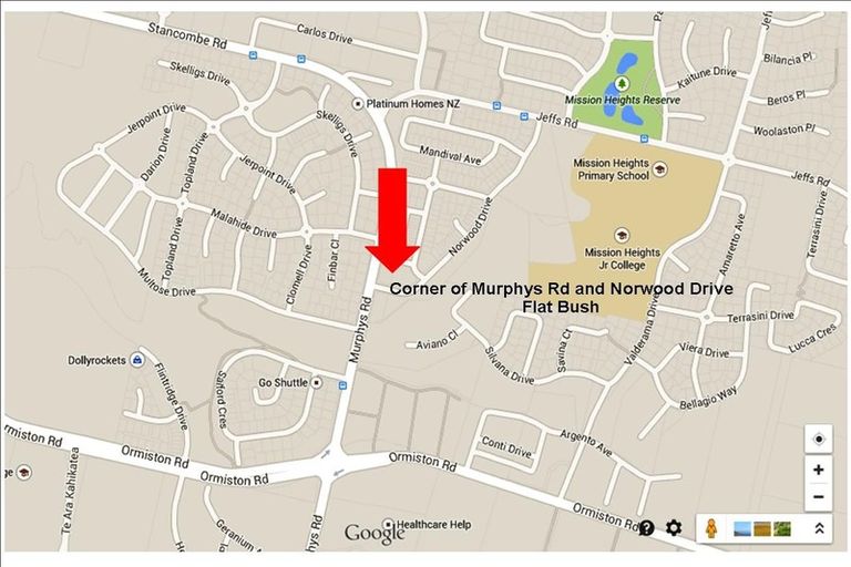 Photo of property in 395 Murphys Road, Flat Bush, Auckland, 2019