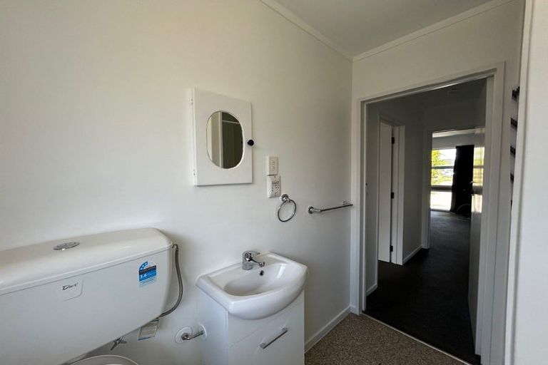 Photo of property in 127 Albert Street, Terrace End, Palmerston North, 4410
