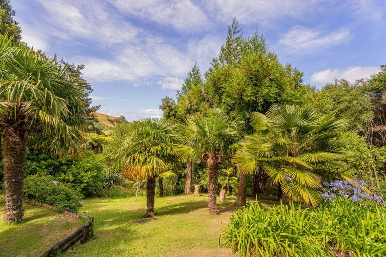 Photo of property in 16 Ohuka Place, Whitianga, 3510