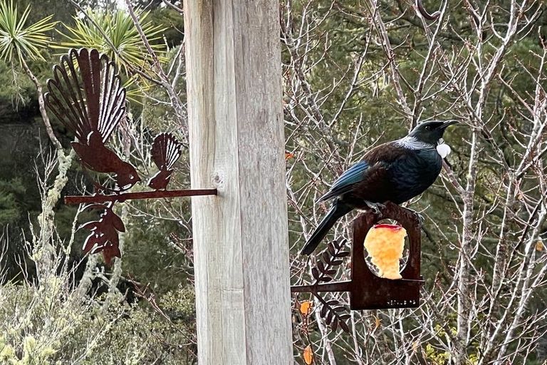 Photo of property in 14 Moore Street, Hillcrest, Auckland, 0627