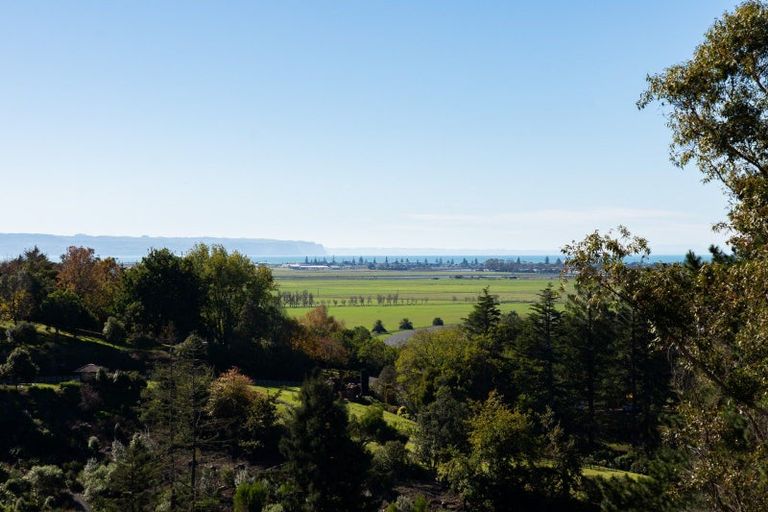Photo of property in 86 Oak Road, Poraiti, Napier, 4112