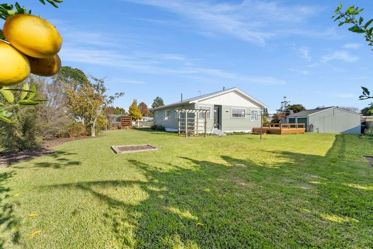 Photo of property in 9 Rimu Street, Edgecumbe, 3120