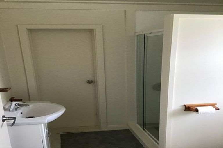 Photo of property in 99 Shamrock Street, Takaro, Palmerston North, 4412