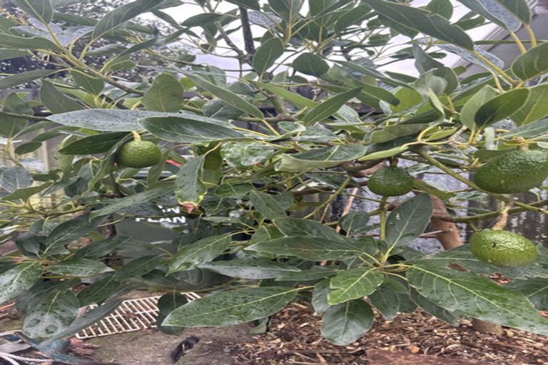 Photo of property in 32 Westbrook Terrace, The Brook, Nelson, 7010