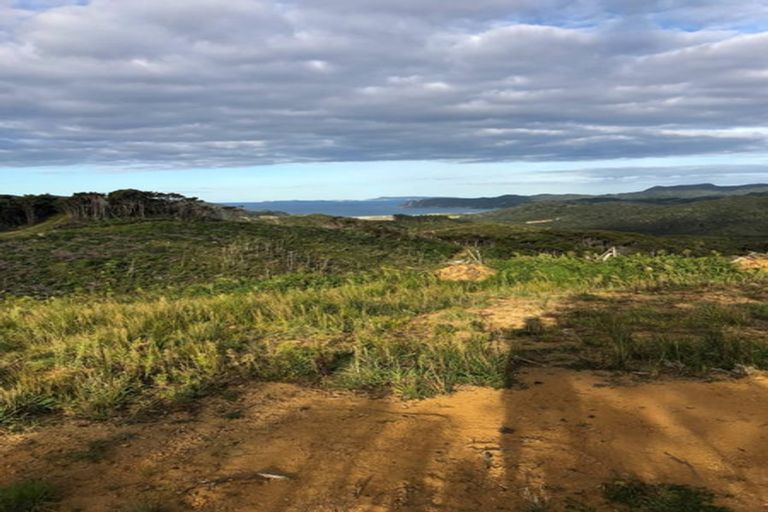 Photo of property in 478 Port Charles Road, Waikawau, Coromandel, 3584