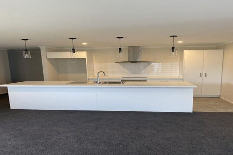 Photo of property in 46 Borck Avenue, Appleby, Richmond, 7020