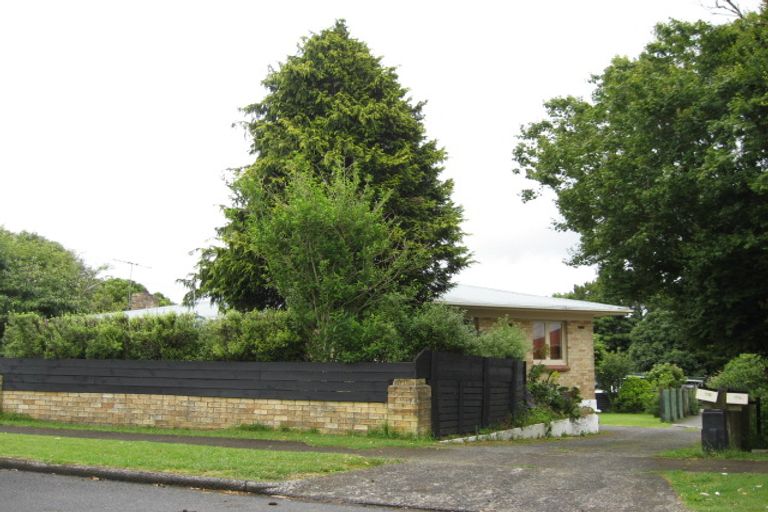 Photo of property in 17 Freyberg Crescent, Pukekohe, 2120