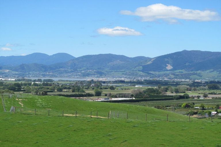 Photo of property in 117a Malling Road, Redwood Valley, Richmond, 7081