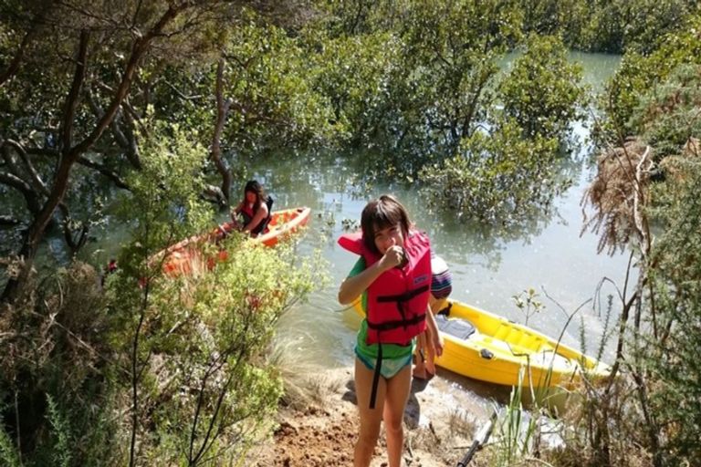 Photo of property in 109 Aberley Road, Schnapper Rock, Auckland, 0632