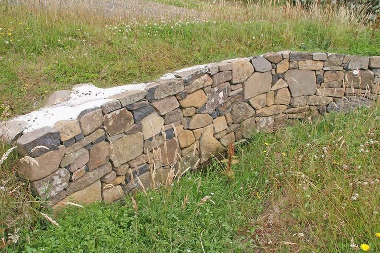 Photo of property in 228 Harington Point Road, Lower Portobello, Dunedin, 9077