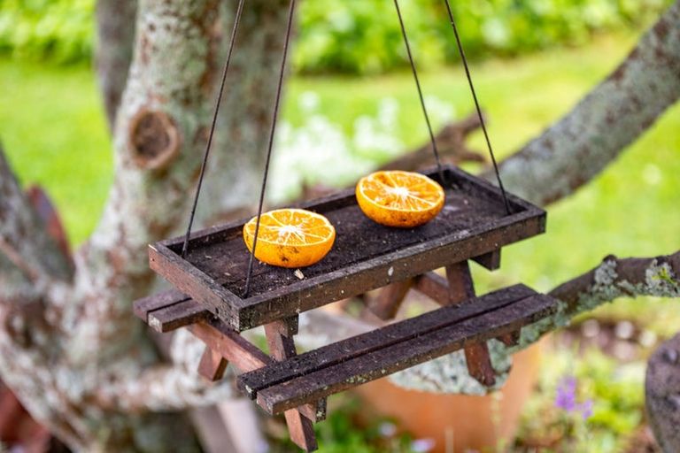 Photo of property in 2 Heron Court, Te Kowhai, Hamilton, 3288