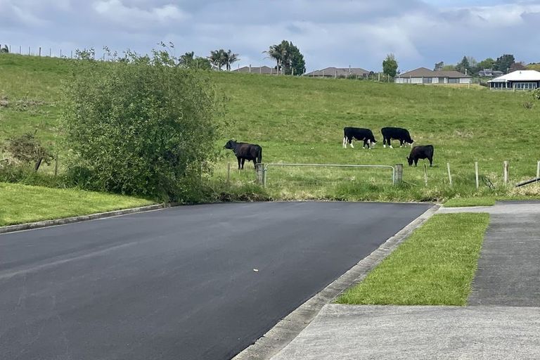 Photo of property in 30 Kestrel Avenue, Welcome Bay, Tauranga, 3112