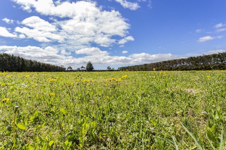 Photo of property in 124 Fishers Road, Loburn, Rangiora, 7473