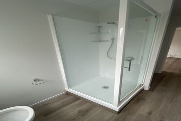 Photo of property in 29 Te Aroha Street, Hamilton East, Hamilton, 3216