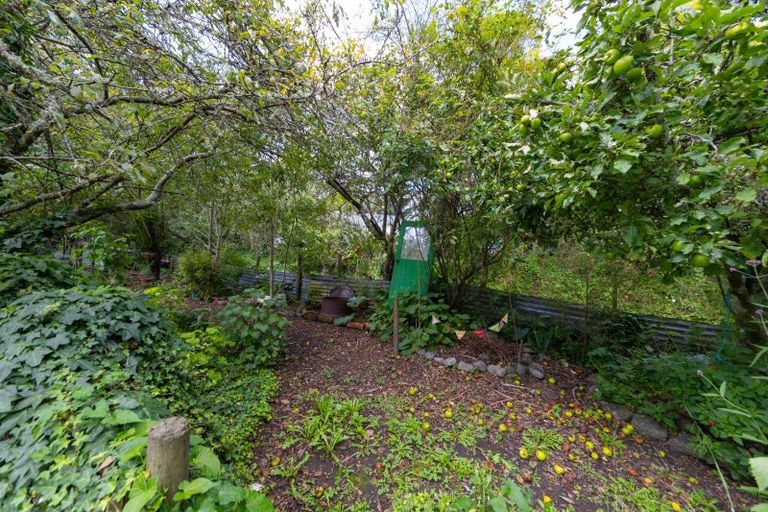 Photo of property in 197 Oxford Street, Ashhurst, 4810