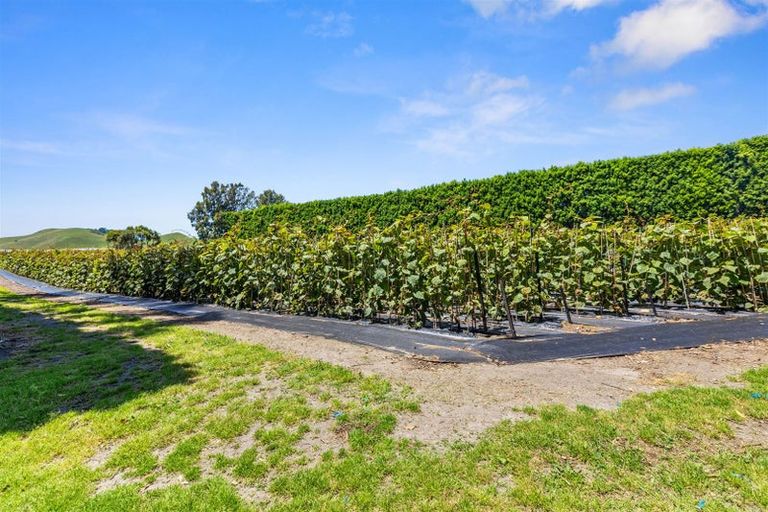 Photo of property in 1568a Old Coach Road, Pukehina, 3186