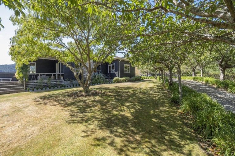 Photo of property in 196 Tinui Valley Road, Tinui Valley, Tinui, 5894