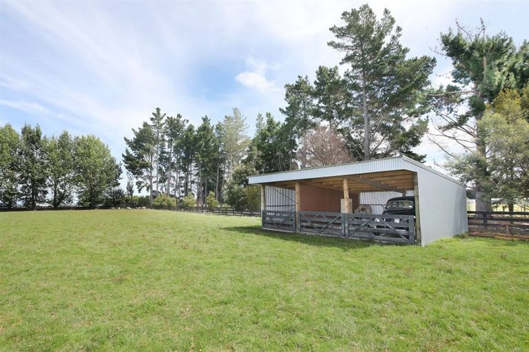 Photo of property in 255 Calico Line, Marton, 4787