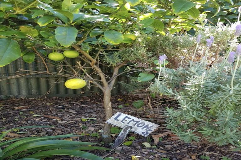 Photo of property in 53 Owen Street, Newtown, Wellington, 6021