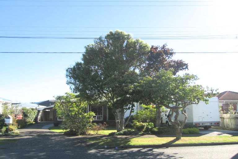 Photo of property in 19 Routley Crescent, Elderslea, Upper Hutt, 5018