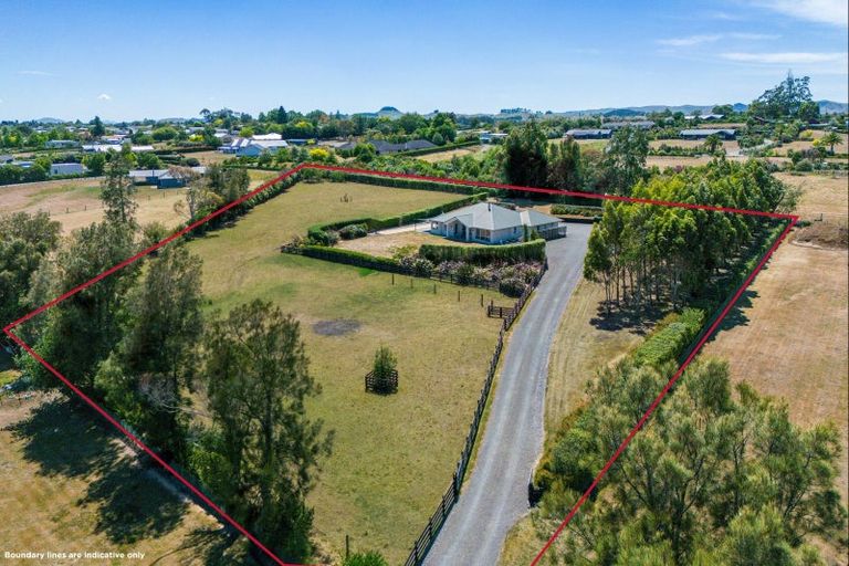 Photo of property in 243c Racecourse Road, Waipukurau, 4282