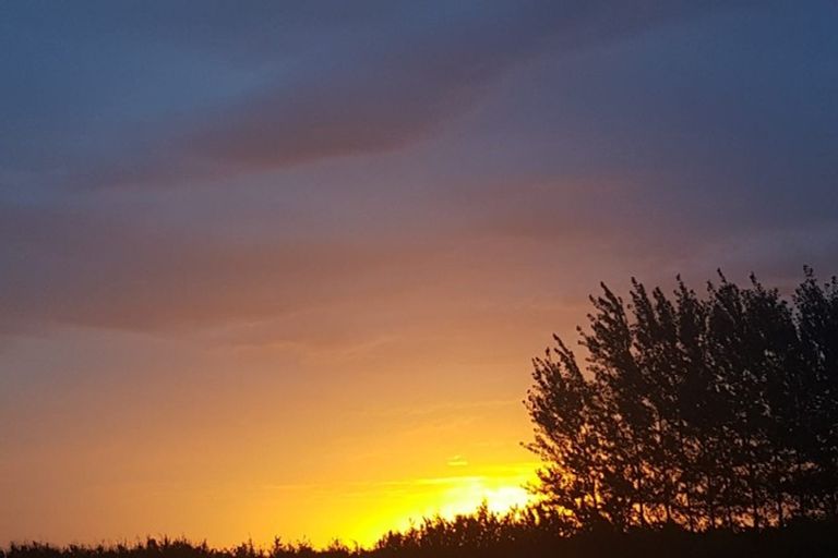 Photo of property in 50 Clausen Avenue, Leeston, 7632