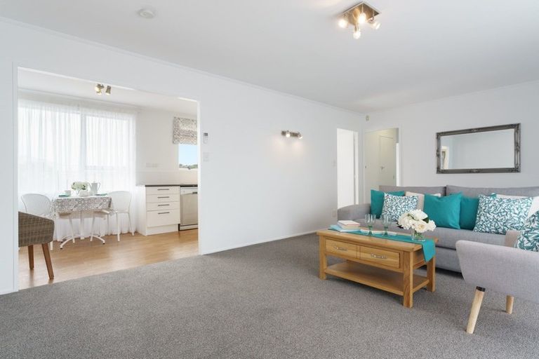 Photo of property in 14 Girven Road, Mount Maunganui, 3116