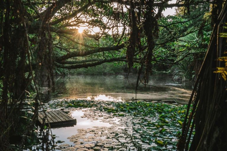 Photo of property in 70a Neewood Road, Ohauiti, Tauranga, 3173