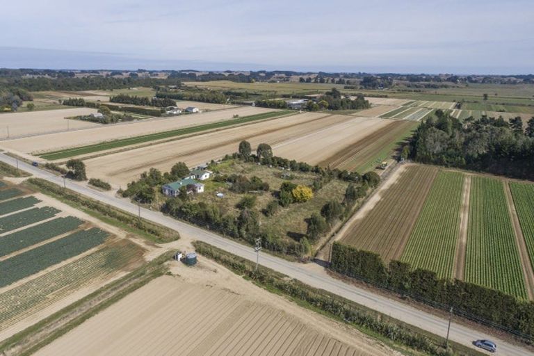 Photo of property in 178 Cd Farm Road, Levin, 5571